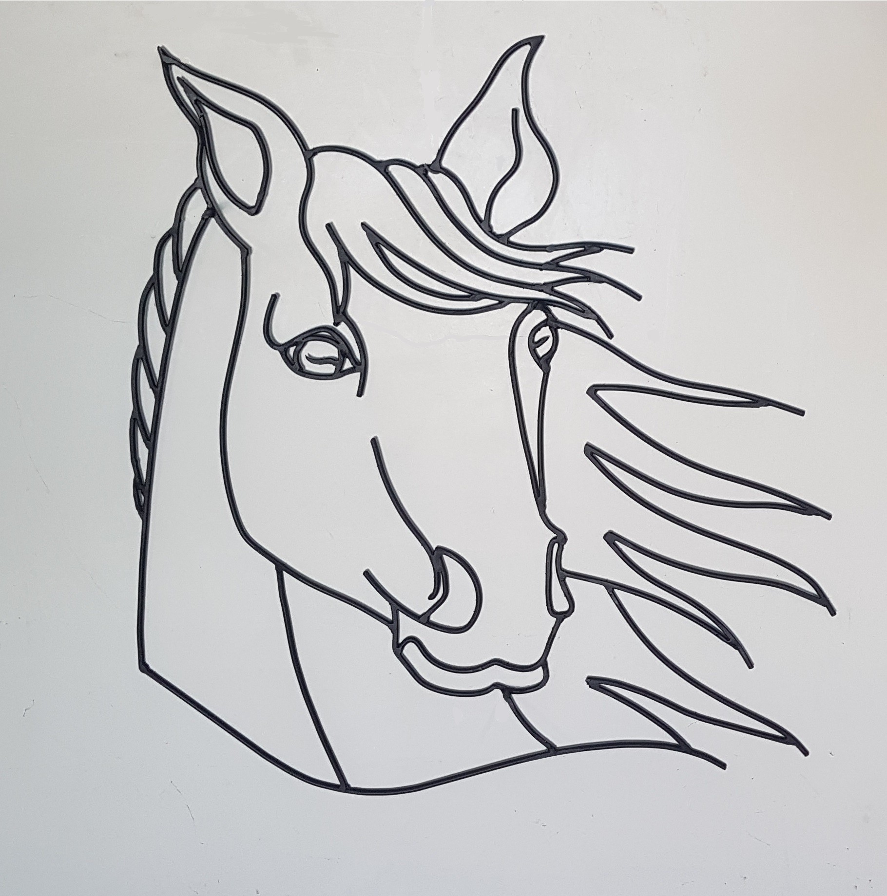 Cheval blanc